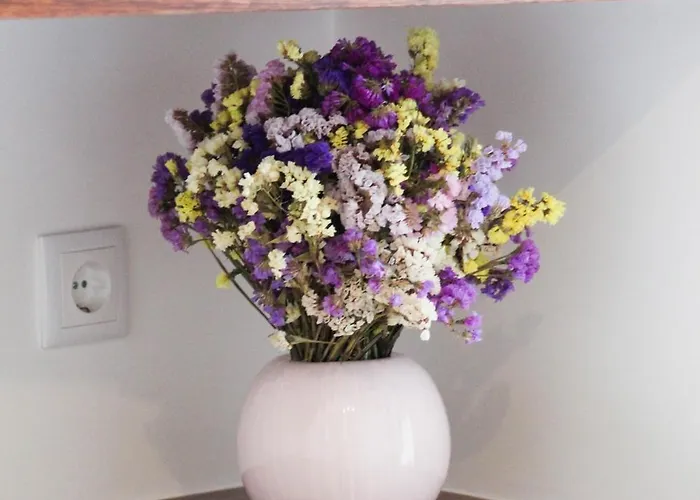 Guest house Casa Da Tasquinha Ponta Delgada (Sao Miguel)